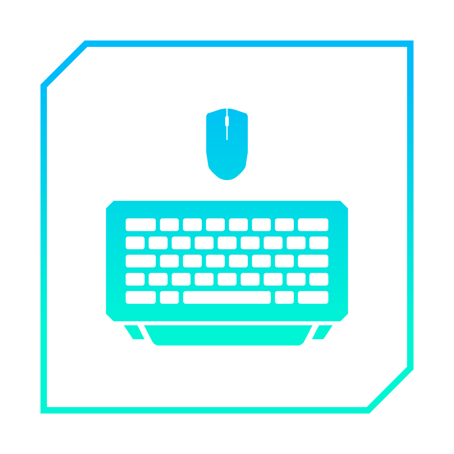 Keyboards & Mice